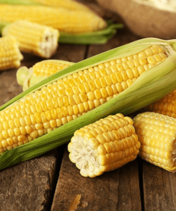 Yellow corn